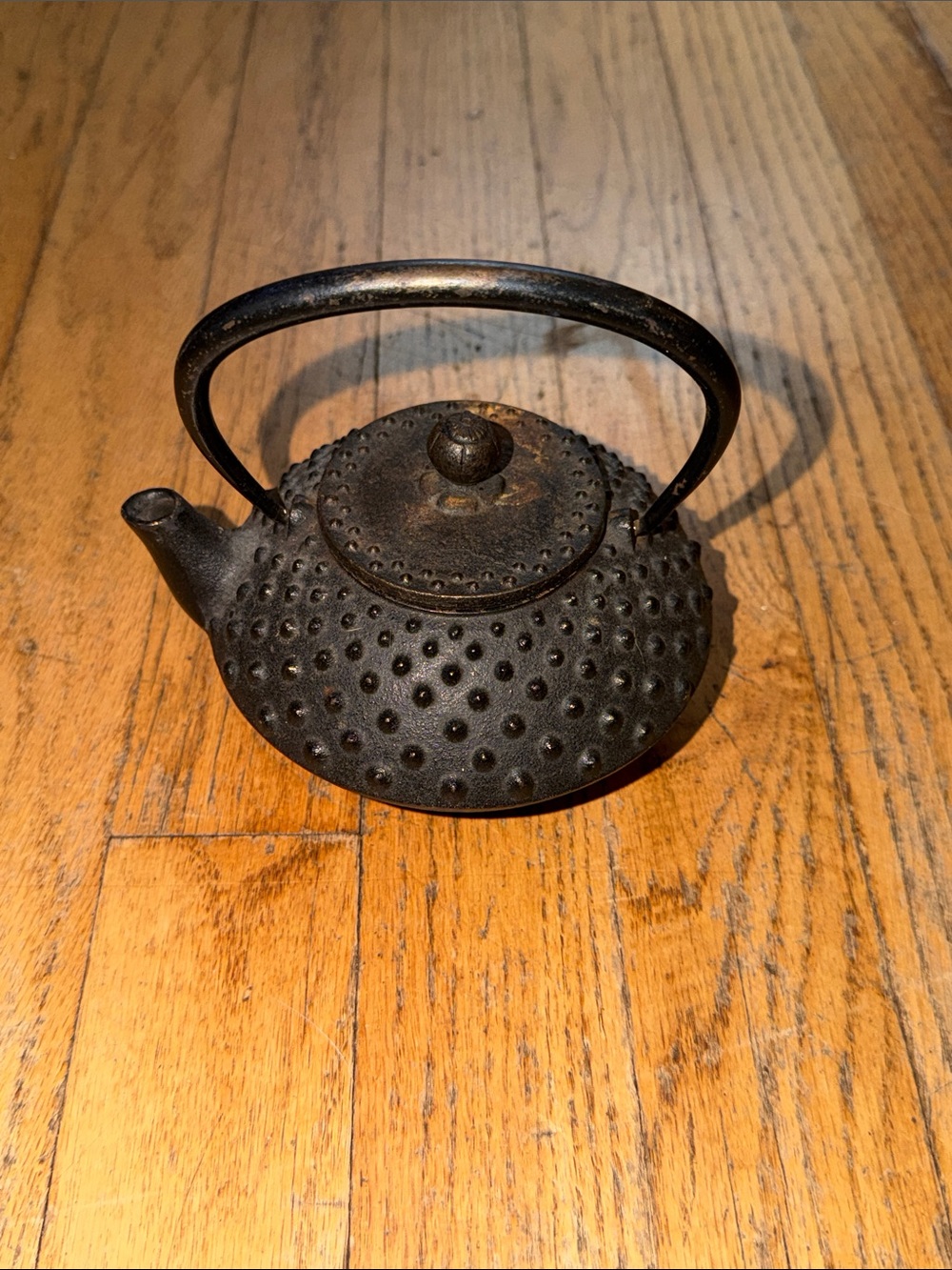 Iwachu Cast Iron Black Teapot with Handle